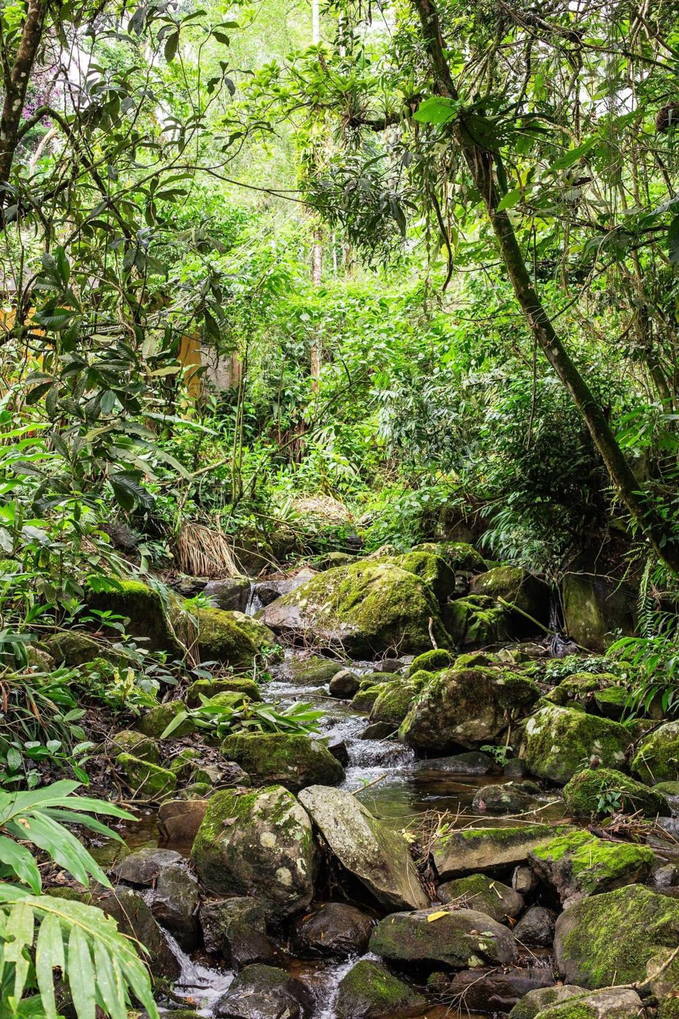 Dingo - Refugio Romantico Em Meio A Natureza Penedo  Luaran gambar